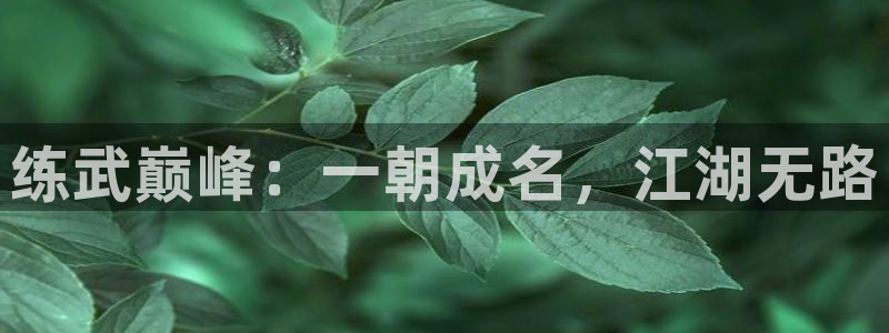 漫蛙免费下载：练武巅峰：一朝成名，江湖无路