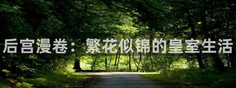 漫蛙漫画app官网版