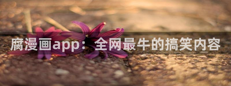 漫蛙韩漫版