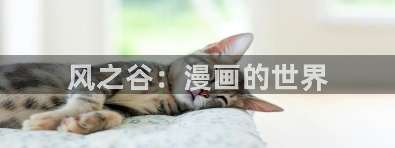 漫蛙软件
