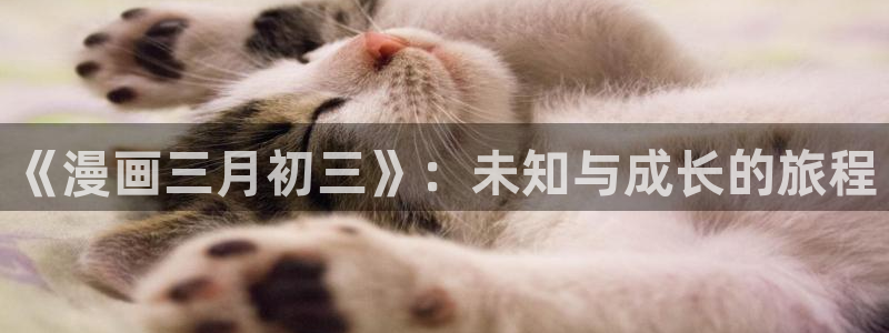 漫蛙入口链接