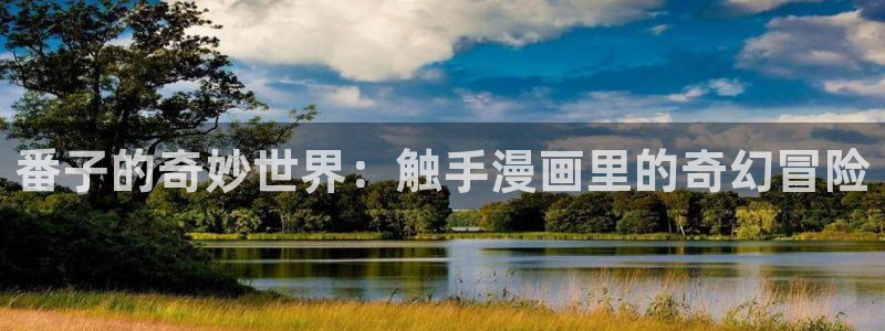 漫蛙破解无广告