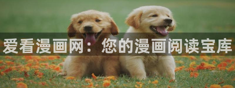 漫蛙漫画网页版免费