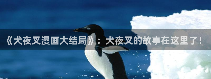 漫蛙官网链接