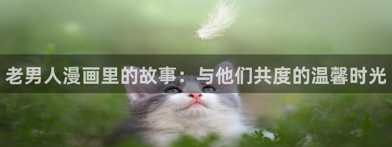 漫蛙漫画网址链接是什么