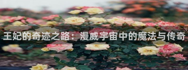 漫蛙网址在线