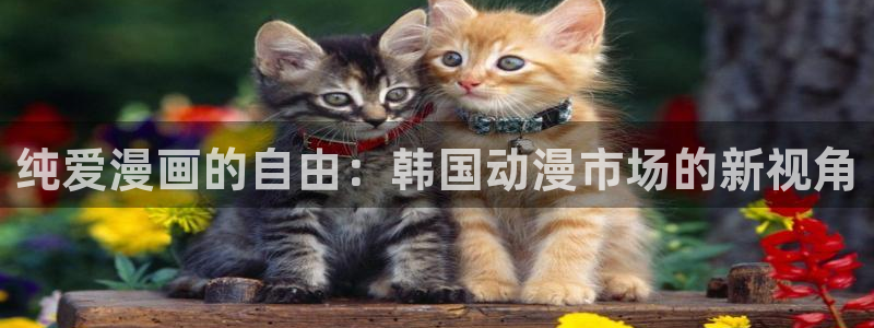 漫蛙 安卓