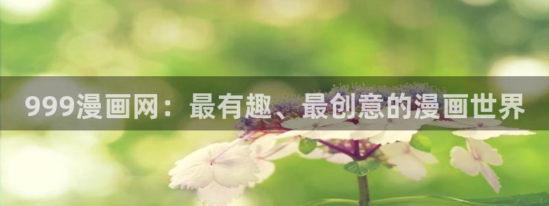 漫蛙怎么打开