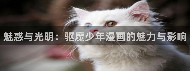 漫蛙2台版