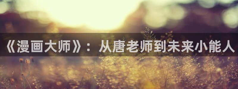 漫蛙安装包