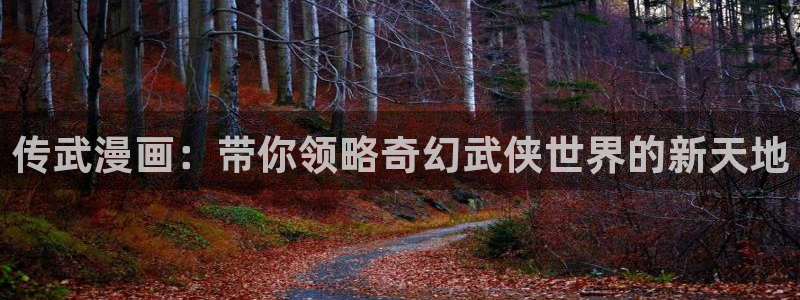 漫蛙网页版官网