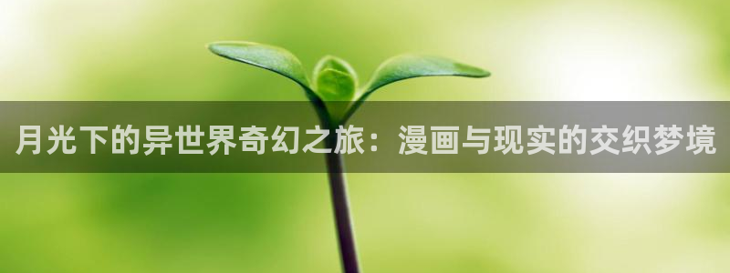 漫蛙网站入口官网：月光下的异世界奇幻之旅：漫画与现实的交织梦境