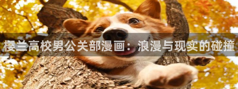漫蛙manwa2下载正版：樱兰高校男公关部漫画：浪漫与现实的碰撞