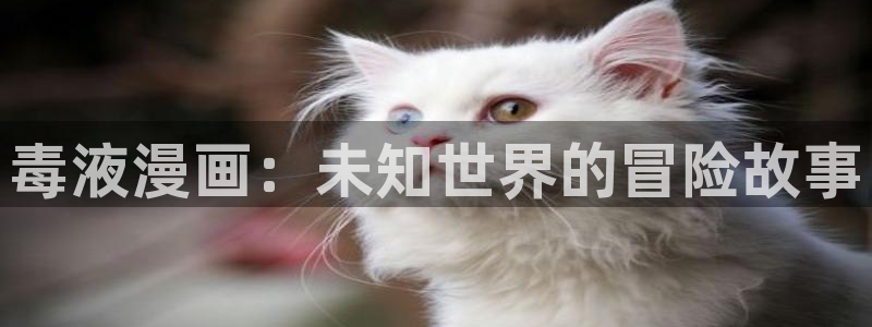 漫蛙官方下载正版：毒液漫画：未知世界的冒险故事