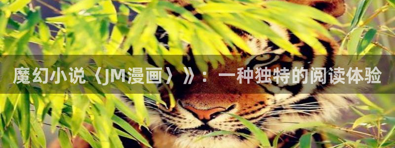漫蛙漫画网页链接是什么：魔幻小说〈JM漫画〉》：一种独特的阅读体验