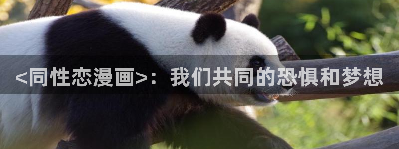 腐宅漫蛙漫画：<同性恋漫画>：我们共同的恐惧和梦想