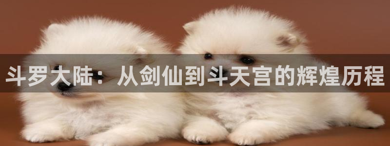 漫蛙下载链接正版：斗罗大陆：从剑仙到斗天宫的辉煌历程