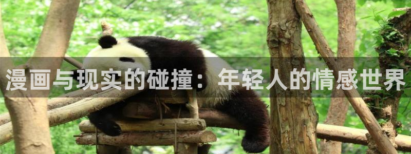 漫蛙走失页怎么使用：漫画与现实的碰撞：年轻人的情感世界