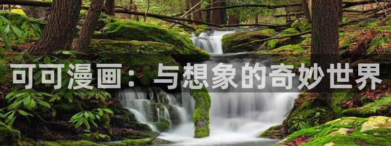 漫蛙网页版怎么注册