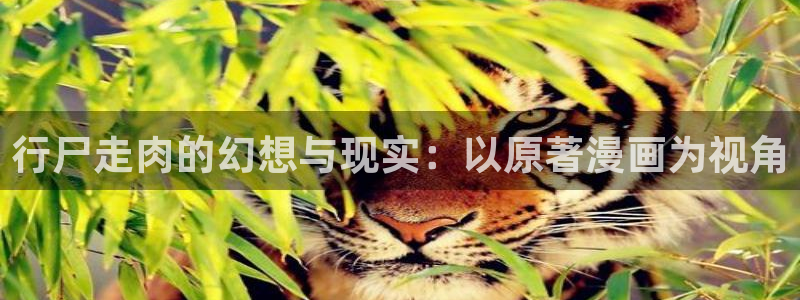 漫蛙漫画网址链接入口2024