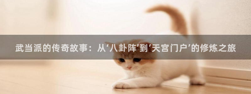 漫蛙漫画ver1.1.8：武当派的传奇故事：从‘八卦阵’到‘天宫门户’的修炼之旅