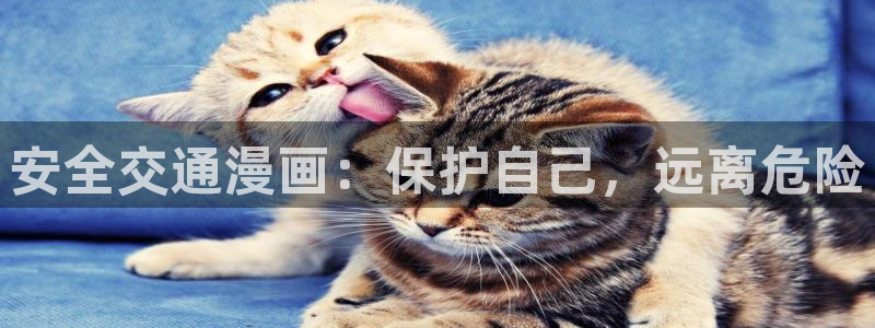 漫蛙2manwa正版：安全交通漫画：保护自己，远离危险