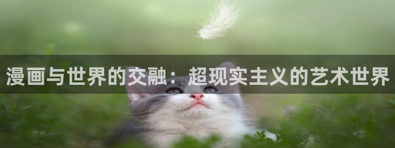 漫蛙2manwa2官网版：漫画与世界的交融：超现实主义的艺术世界