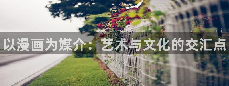 漫蛙网页版链接：以漫画为媒介：艺术与文化的交汇点